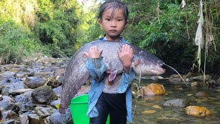 Meet giant catfish in a small stream. The girl uses her fishing skills. Catch many giant fish