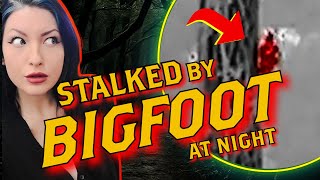 STALKED BY BIGFOOT AT NIGHT? - Hunting Sasquatch in Appalachia - Thermal Evidence Captured