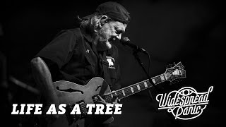 Life as a Tree (Live at Red Rocks)