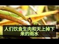 早上有喝水習慣的人注意了！醫生提醒：如果你已過50歲，早上千萬別這樣喝水，否則身體竟會發生這種變化！