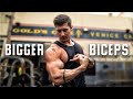 How to quickly grow BIGGER BICEPS