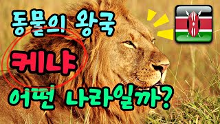 동물의 왕국 케냐 어떤 나라 일까 ?  아프리카 케냐 여행 가기 전에 미리 알아보기