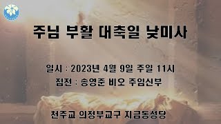 4월 9일(백) 주님 부활 대축일 낮 미사(2023년 / 지금동성당)