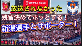 テレビやDAZNで放送されなかった残留を決めてホッとするアルビレックス新潟サポーター！浦和レッズ対アルビレックス新潟！明治安田Ｊ１リーグDAZN ダイジェスﾄサッカー日本代表 サポーターチャントAFC