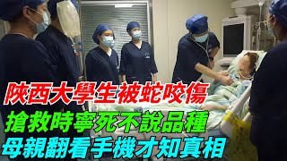 陜西大學生被蛇咬傷，搶救時寧死不說品種，母親翻看手機才知真相【奇聞搜羅簿】#真實故事#案件#談笑娛生#叉雞#奇聞#秘事#民間故事#奇聞#故事#奇聞觀察室#案件解讀