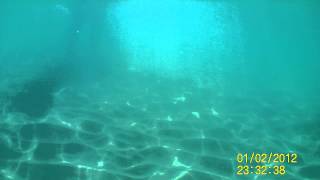 Underwater world of Ashkelon beach p.1