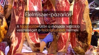 MMG - Nem éri meg csökkenteni az élelmiszer-pazarlást