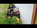 gardening for beginners at home অল্প সময়ে বারান্দা বাগান শুরু করার সহজ পদ্ধতি‎@happywithsangeeta