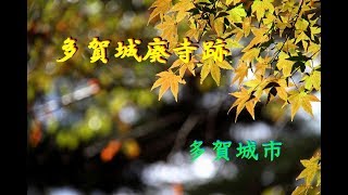 多賀城廃寺跡（高崎廃寺）