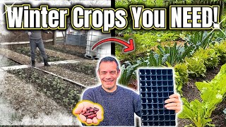 Why Gardeners Are Raving About Root Trainers for Winter Crops!