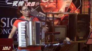 一夜情 - 凌因(林妙音)-手風琴- Accordion演奏