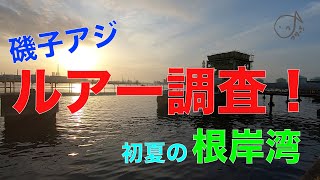 初夏の根岸湾 磯子アジをルアー調査！2019.5(3)つりっちは新シーズンへ