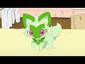 sprigatito’s biscuits 🐾 pokémon horizons the series official clip