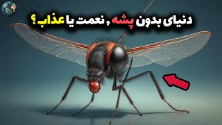 راز زندگی بدون پشه : چی میشه اگه کل پشه های جهان رو بکشیم ؟