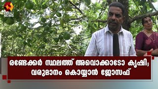 അവൊക്കാടോ കൃഷിയിലൂടെ വരുമാനം കൊയ്യാൻ ജോസഫ് | Kairali News