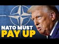 'Transactional' Trump will demand Europe play 'a greater role' in Ukraine's defence | Ronald Gitwitz