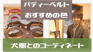 【おしゃれ！本革！】バディーベルトは気管に優しいハーネスです【ドッグサロン  八女 広川 福岡 トリミング  久留米 筑後 】