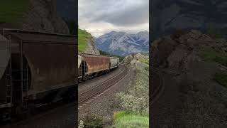 Grain Train In Canada’s Jasper National Park #shorts