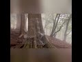 三峰神社の奥宮山登りに行って参りました