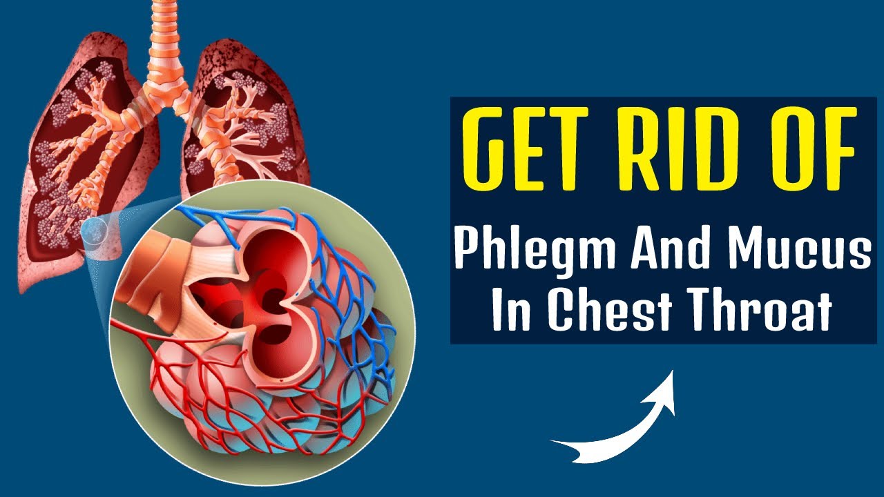 Easy Way To Get Rid Of Phlegm And Mucus In Chest & Throat - YouTube