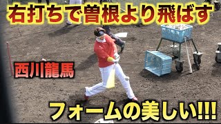 右打ちで曽根海成より飛ばしてしまう西川龍馬www