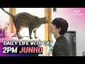 [C.C.] Working out at HOME GYM and playing with cat #2PM #JUNHO
