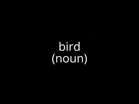 Is bird a proper noun?