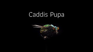 ทำเหยื่อฟลาย - Caddis Pupa Fly Tying [ ฟลายพันดึก ]