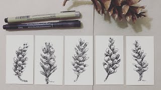 How to draw a pine one-quickie Sketch