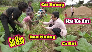 Cát Xây Nhà Đã Sẵn Sàng||Thu hoạch đa dạng loại rau Việt Nam của trang trại||2Q VLogs