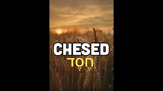 TAVTEACH Insights into the word CHESED