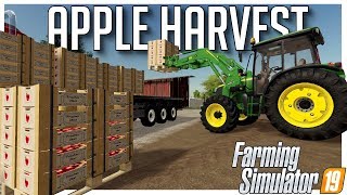 FIRST EVER APPLE HARVEST | SEASONS 19 | COUNTY LINE | FARMING SIMULATOR 19