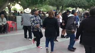 Plaza de Armas. Torreón Coahuila.  Sábado de baile \