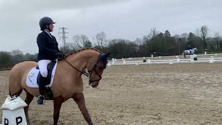 Sillan Clementine PetPlan BD Area Winter Festival BD Nov Test 5 Parwood Equestrian Centre 31.01.25