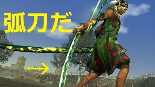 真・三国無双Online Z ～　弧刀衛ｖｓ３ＰＴ 「未編集」