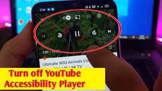 How to Turn off YouTube Accessibility Player from Long And Shorts video - Sky tech