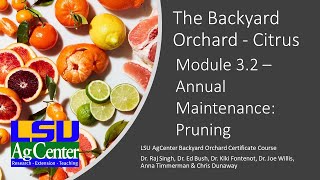 Citrus - Module 3.2 - Pruning