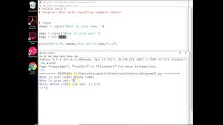 Python work with inputs of string, int and float variables