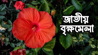 National Tree Fair 2019 | জাতীয় বৃক্ষমেলা ২০১৯