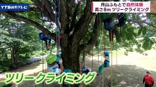 自然を学ぶ 月山のふもとの公園で学習会