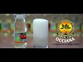 occiana carbonated cashew apple juice