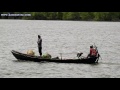 mangrove forest in cambodia ព្រៃកោងកាងនៅកម្ពុជានិងការដាំដុះបន្ថែមនៅខេត្តកំពត