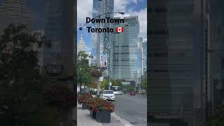 DownTown Toronto Canada 🇨🇦