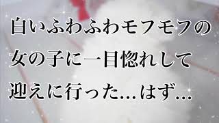 ワンコが来た♡シーズーとペキニーズのMIX犬