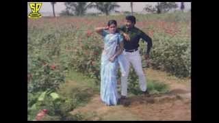 Chakravakam Telugu Movie Songs | Vellipo Vellipo Video Song | Shobhan Babu | Vanisri |