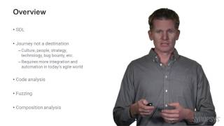 Bug Elimination: Code Scanning, Fuzzing, and Composition Analysis | Synopsys