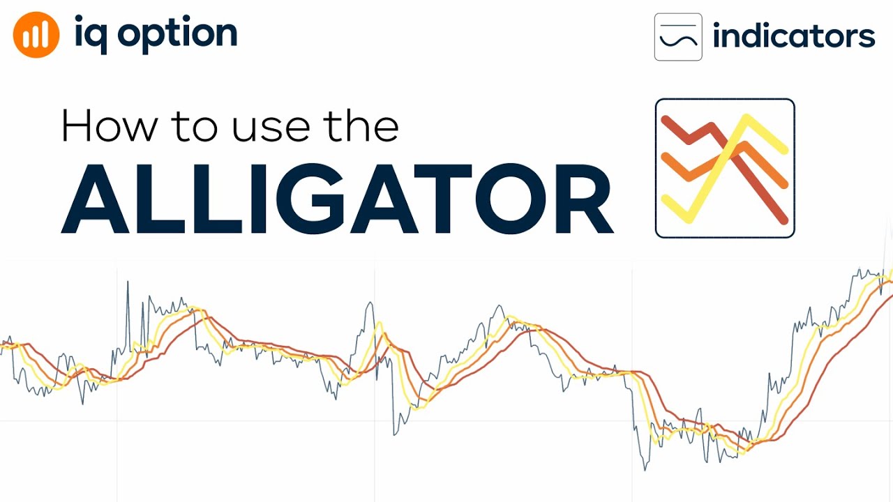 How To Use The Alligator Indicator Youtube