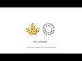 canadian gold maple leaf bullion coin 2014 hd