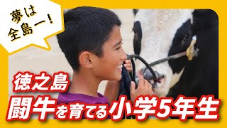 vol.01　子どもたちにとっての牛と牛主は、家族でありカッコいいヒーローです！