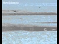 Rocks caught gliding across Death Valley